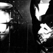 Year Of The Rabbit - List pictures