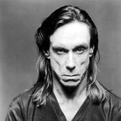 Pop Iggy - List pictures