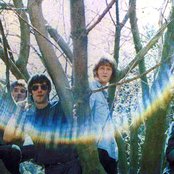 Grassroots - List pictures