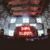 Dog Blood - List pictures