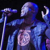 Seal - List pictures