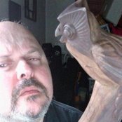 Owls - List pictures