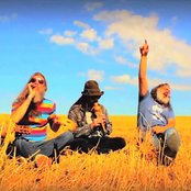 Spids Nøgenhat - List pictures