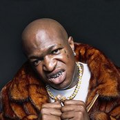 Birdman - List pictures