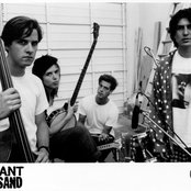 Giant Sand - List pictures