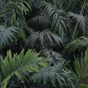 Falls - List pictures