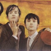 Pulp - List pictures