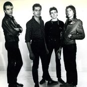 Ruts - List pictures