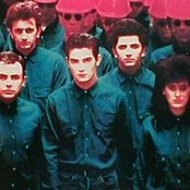 The Adventures - List pictures