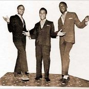 The Gaylads - List pictures