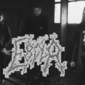 Ebola - List pictures