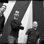 Old Dead Tree - List pictures