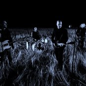 Cold - List pictures