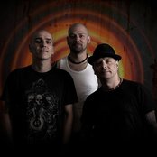 Lipa - List pictures