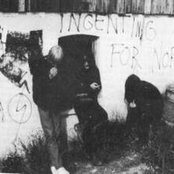 Mayhem - List pictures