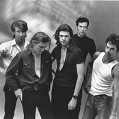 The Cruel Sea - List pictures