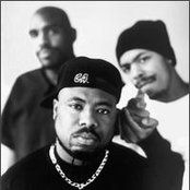 Wc And The Maad Circle - List pictures