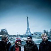 Moss - List pictures