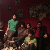 Tereza - List pictures