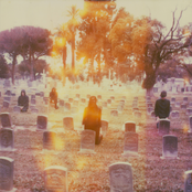 Chelsea Wolfe - List pictures