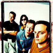 Down By Law - List pictures