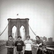 The Coral - List pictures