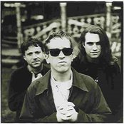 Buffalo Tom - List pictures