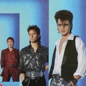 Silent Circle - List pictures