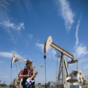 Thenewno2 - List pictures