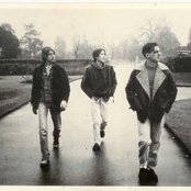 Talk Talk - List pictures