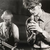 Pulp - List pictures