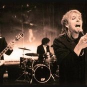 Elefantes - List pictures