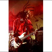 Tadpole - List pictures