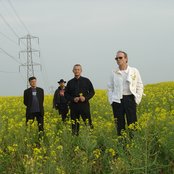 Section 25 - List pictures