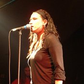 White Willow - List pictures