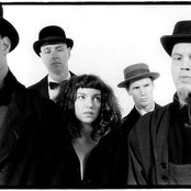 Sleepytime Gorilla Museum - List pictures