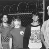 Crumbsuckers - List pictures