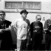 Bad Acid Trip - List pictures