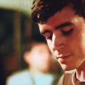 Yellow Ostrich - List pictures