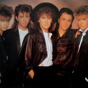 Flip - List pictures