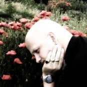 Leaether Strip - List pictures