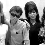 The Ronettes - List pictures