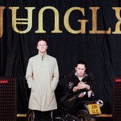 Jungle - List pictures