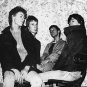 The Pigs - List pictures