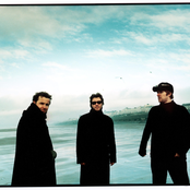 Doves - List pictures