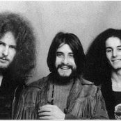 Toad - List pictures