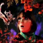 Cate Le Bon - List pictures