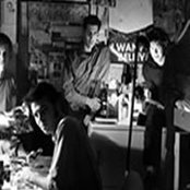 The Dingees - List pictures