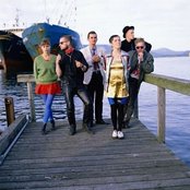 Sugarcubes - List pictures