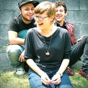 Hello Seahorse - List pictures